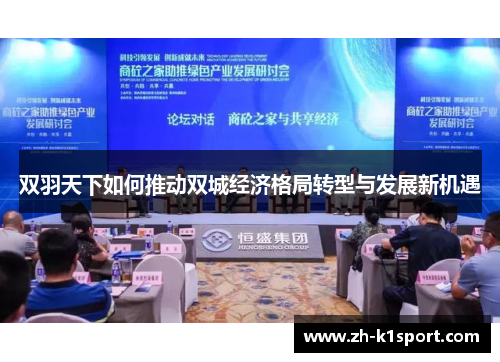 双羽天下如何推动双城经济格局转型与发展新机遇