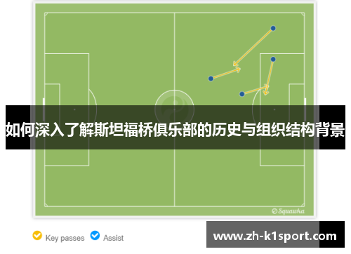 如何深入了解斯坦福桥俱乐部的历史与组织结构背景